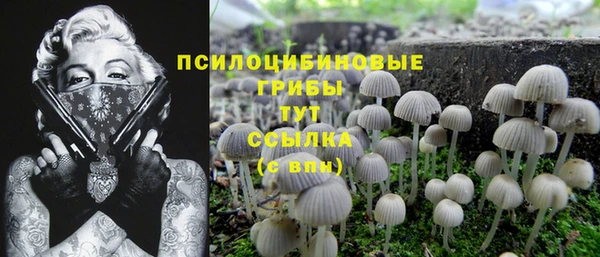 МДМА Арсеньев
