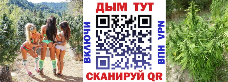 darknet наркотические препараты  хочу наркоту  Оханск  Шишки марихуана марихуана 